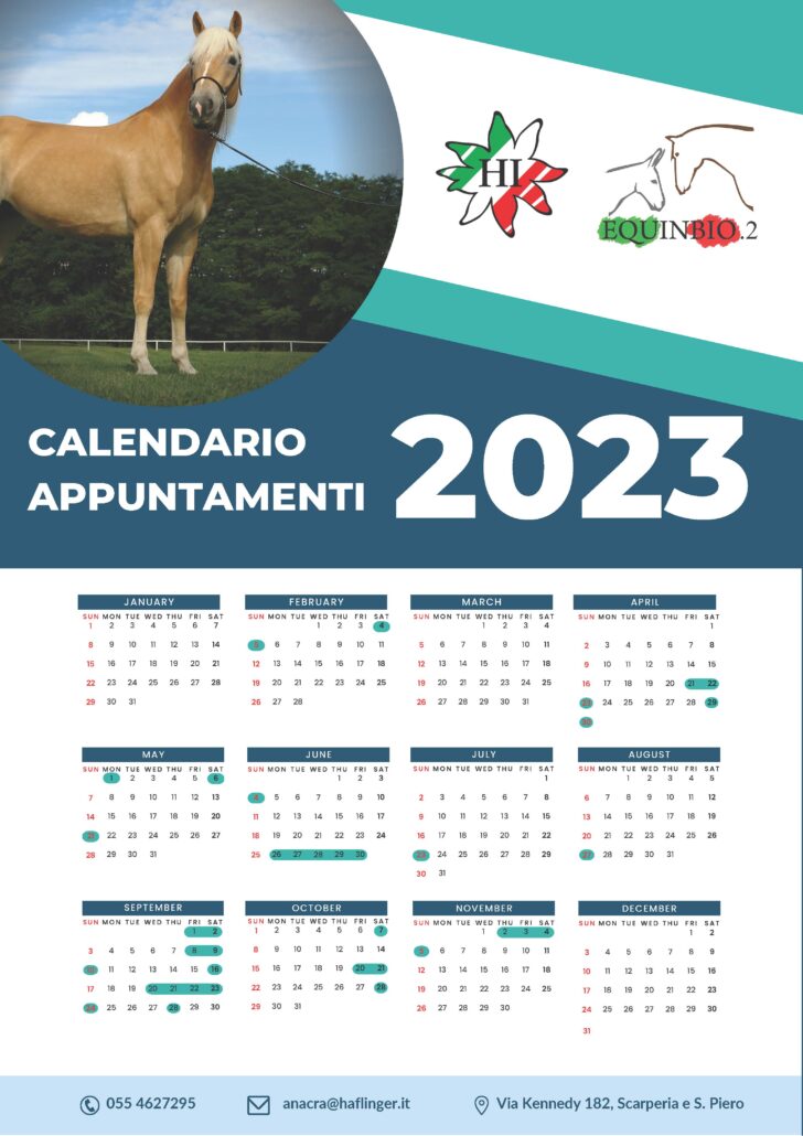 Calendario da banco illustrati con cavallotto personalizzabile - serie  01_T_B - Tutto Calendari 2023